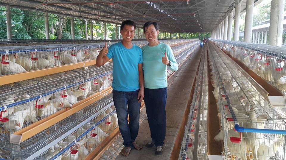 Hệ thống nước uống núm cho gia cầm